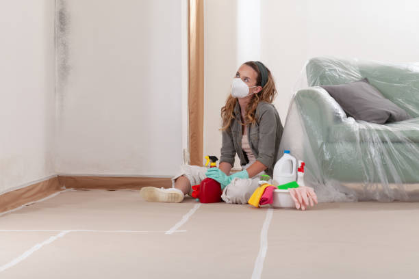 Reliable Mold Remediation contractor in Eagle, MI by Car Mold Remediation